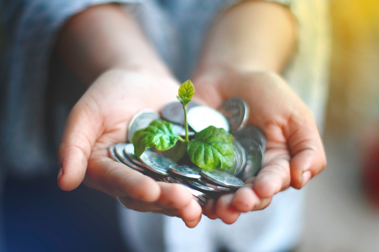 Growing your savings and investments
